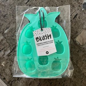 Pineapple Ice molds never used